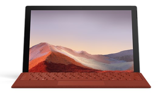 宏伟清洁和维护 Surface